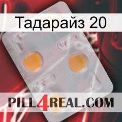 Тадарайз 20 24